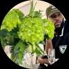 brycelanenyc
